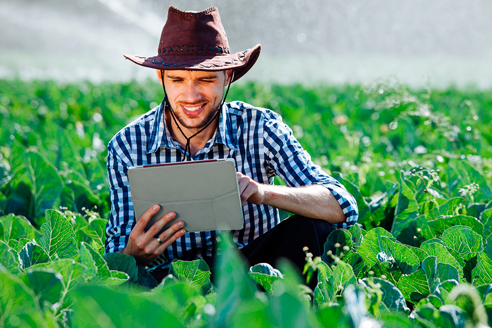 AGRO.png